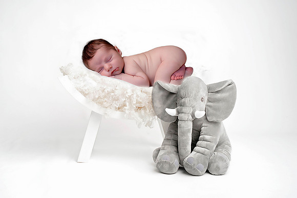 elephantAxle-Edit